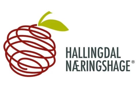 Hallingdal Næringshage